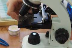 13bio