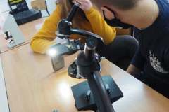 8bio