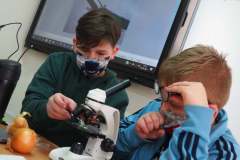9bio